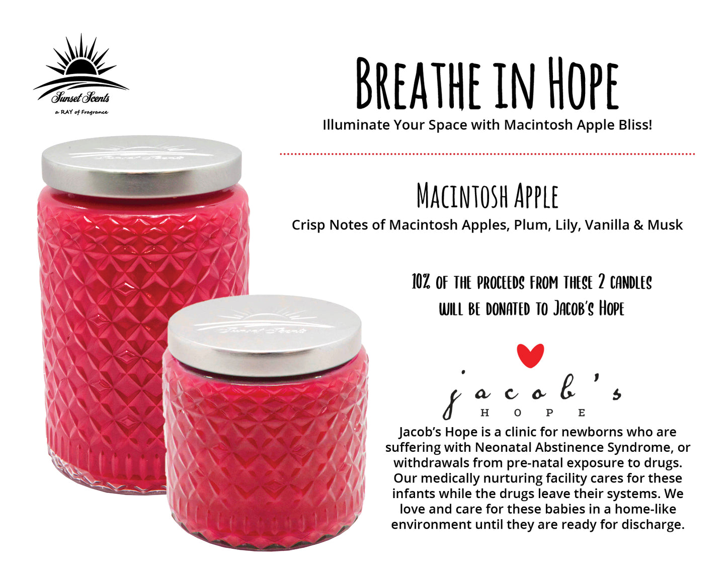 Macintosh Apple Scented Candle