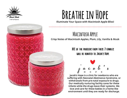 Macintosh Apple Scented Candle