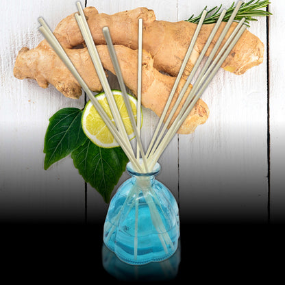 Ginger Lime Scent Sticks Diffuser and Oil
