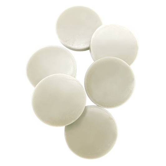Crisp Citrus - Scent Slices - wax melts